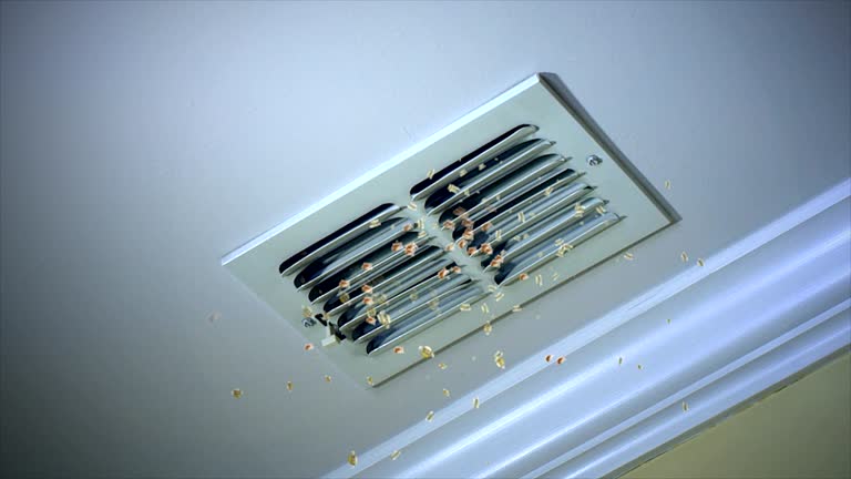 Best Affordable Air Duct Cleaning  in Mauldin, SC